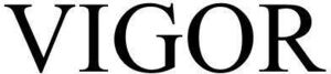 Image for mark 1890498 VIGOR