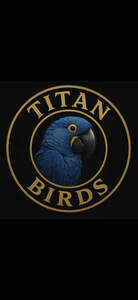 Image for mark UK00004308818 TITAN BIRDS