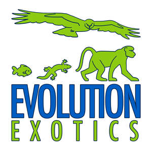 Image for mark UK00004337141 EVOLUTION EXOTICS