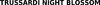 Image for mark 1901714_TIF