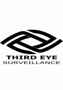 Image for mark UK00004340878 THIRD EYE SURVEILLANCE