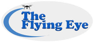 Image for mark UK00004342039_1of2 THE FLYING EYE