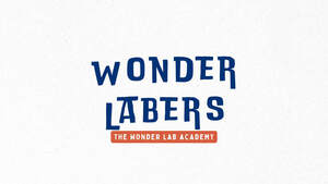 Image for mark UK00004335093 WONDER LABERS THE WONDER LAB ACADEMY