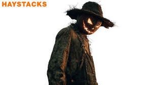 Image for mark UK00004355620 HAYSTACKS