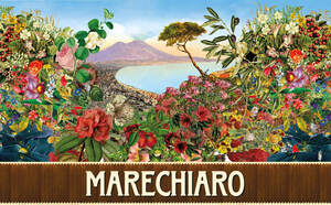 Image for mark UK00004357645 MARECHIARO