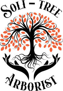 Image for mark UK00004368058 SOLI - TREE ARBORIST