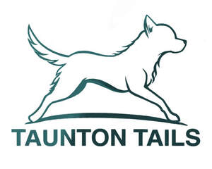 Image for mark UK00004368525 TAUNTON TAILS