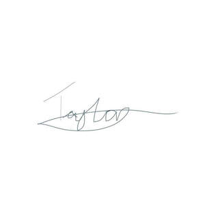 Image for mark UK00004335904 TAYLOR