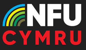 Image for mark UK00004367371_2of2