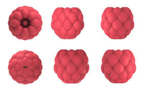 Image for mark UK00004379488_1of1_case_1of6 N