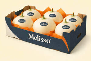 Image for mark UK00004383287 MELISSO