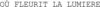 1915844 Image for mark 1915844