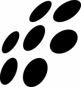 Image for mark 1909821 