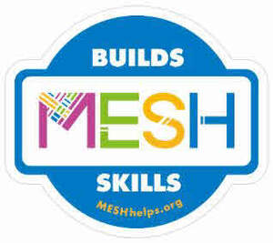 Image for mark UK00004250063 BUILDS MESH SKILLS MESHHELPS.ORG