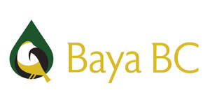 Image for mark UK00004404570 BAYA BC