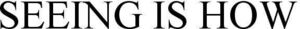 Image for mark 1924754 SEEING IS HOW