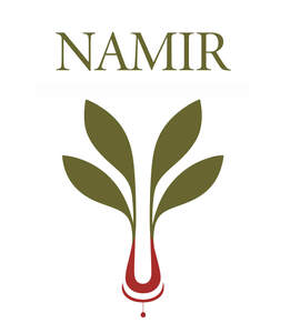 Image for mark UK00004383029 NAMIR