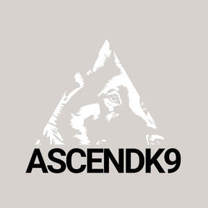 Image for mark UK00004415357 ASCENDK9