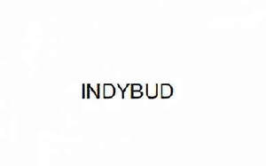 Image for mark UK00004416211 INDYBUD