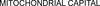Image for mark 1927698_TIF