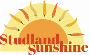 Image for mark UK00004389654 STUDLAND SUNSHINE
