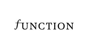 Image for mark UK00004413249_1of2 FUNCTION