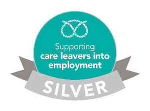 Image for mark UK00004413695 SUPPORTING CARE LEAVERS INTO EMPLOYMENT SILVER