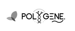 Image for mark UK00004428103 POLGNE