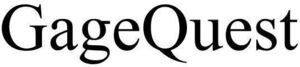 Image for mark 1910644 GAGEQUEST