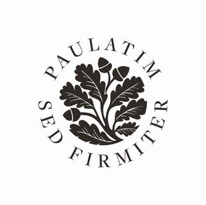 Image for mark UK00004442991 PAULATIM SED FIRMITER