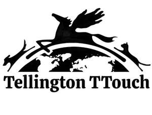 Image for mark UK00004444949_1of3 TELLINGTON TTOUCH