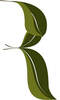 Image for mark UK00004438944