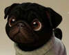 Image for mark UK00004442959