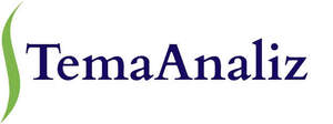 Image for mark UK00004448063 TEMAANALIZ