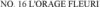 Image for mark 1937800