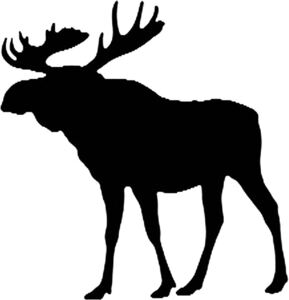 Image for mark 1939462 