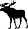 Image for mark 1939462