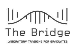 Image for mark UK00004446054 The Bridge Laboratory Training For Graduates