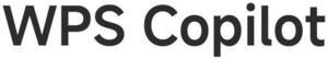 Image for mark 1930792 WPS Copilot