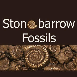 Image for mark UK00004455531 Stonebarrow Fossils