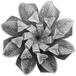 Image for mark UK00004455655_1of2 