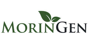 Image for mark UK00004456494 MORINGEN