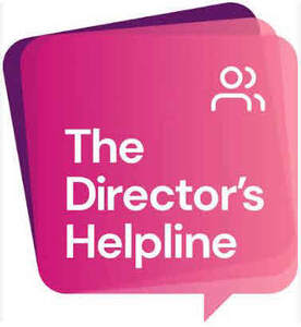 Image for mark UK00004456516 THE DIRECTOR'S HELPLINE