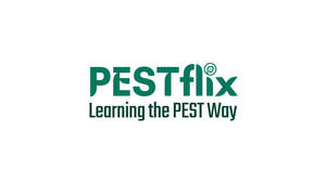 Image for mark UK00004305648 PESTFLIX LEARNING THE PEST WAY