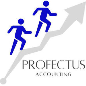Image for mark UK00004357303 PROFECTUS ACCOUNTING