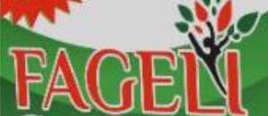 Image for mark UK00004357384 FAGELI