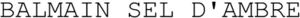 Image for mark 1921589 BALMAIN SEL D'AMBRE
