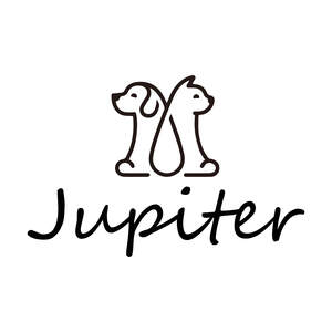 Image for mark UK00004264291 Jupiter