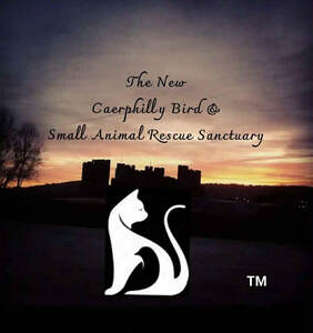 Image for mark UK00004316067 The New Caerphilly Bird and Small Animal Rescue Sanctuary