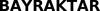 1713024_TIF Image for mark 1713024_TIF